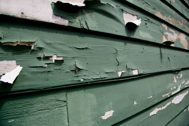 Best Foreclosure Cleanout  in South Dennis, MA