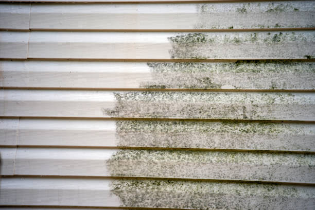 Best Moving and Downsizing Cleanouts  in South Dennis, MA