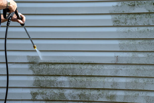Best Carpet Removal and Disposal  in South Dennis, MA